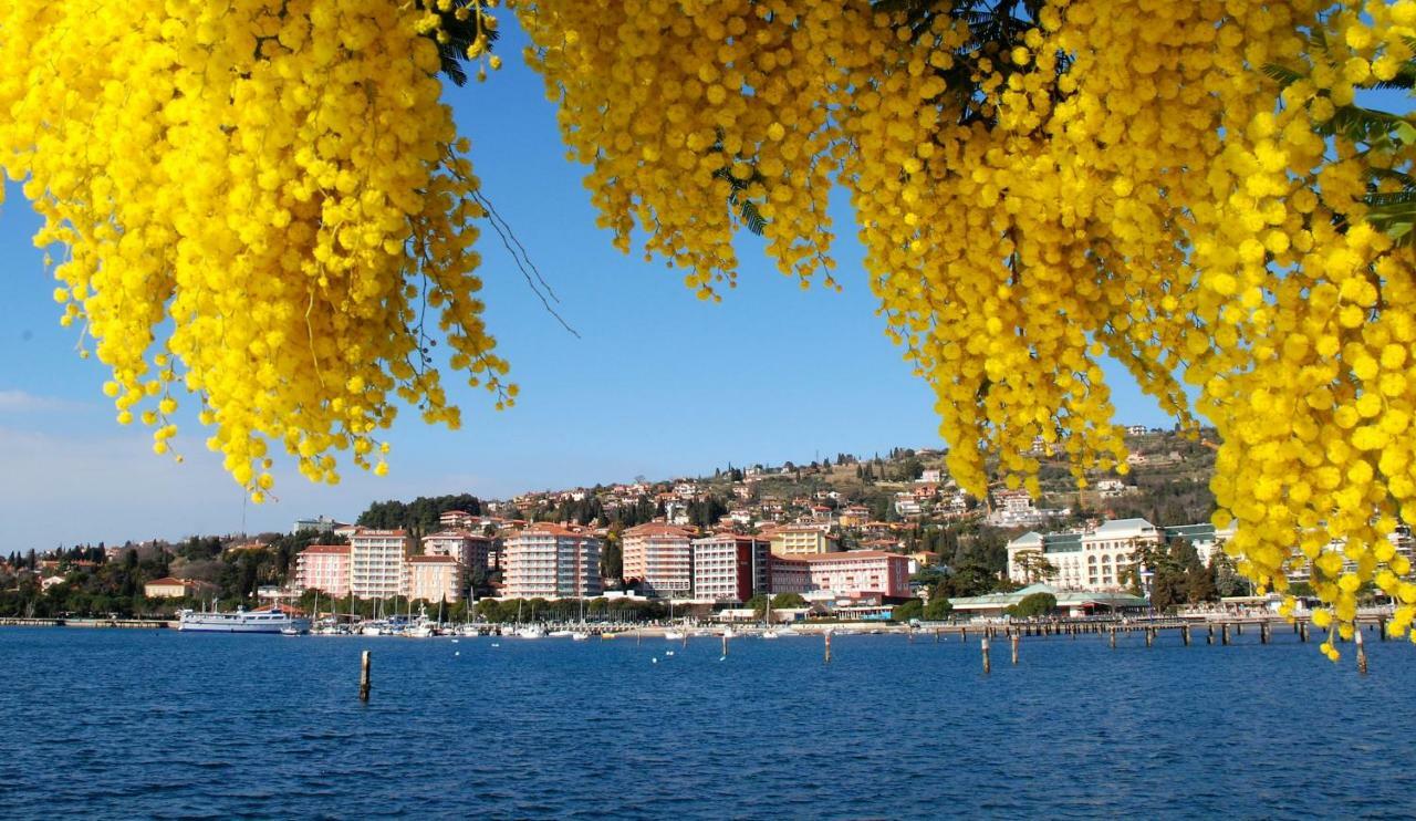 Apartments Gea Lucija Dış mekan fotoğraf